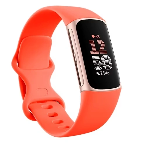 Fitbit Charge 6 Smart Watch Champagne Gold