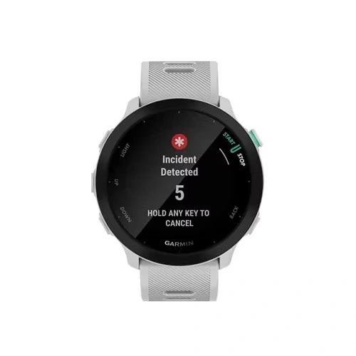 Garmin Forerunner 55 Smart Watch