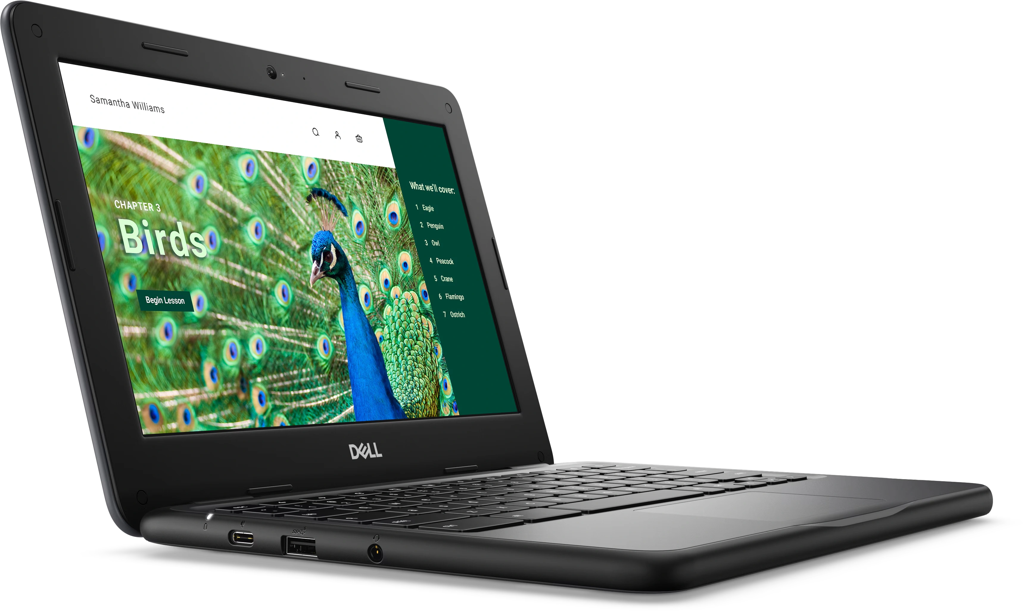 Chromebook 3120 Laptop or 2-in-1